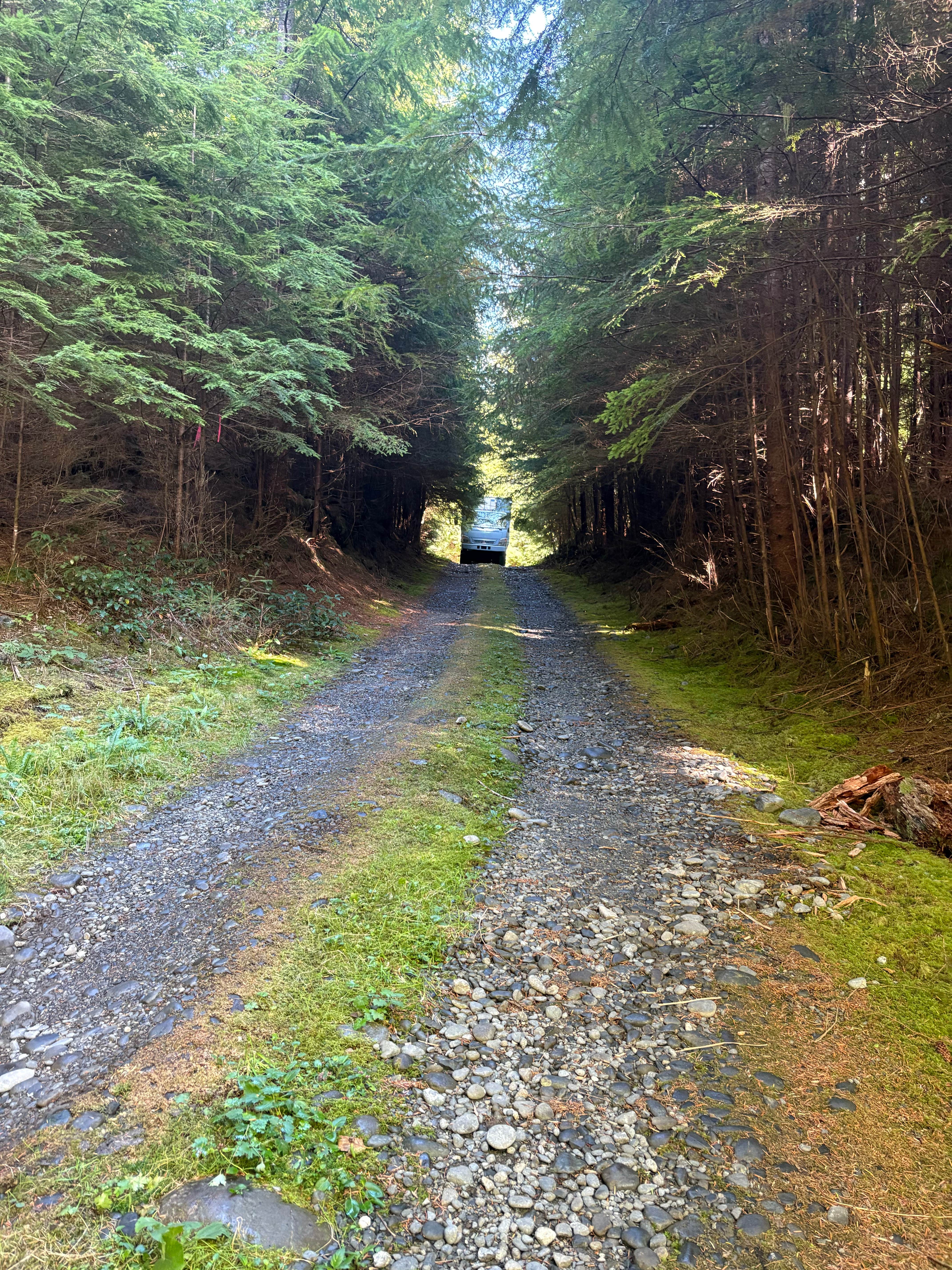 Camper-submitted photo at Hoh River Dream Spot near Olympic National Park