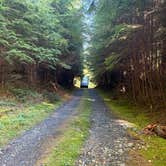 Review photo of Hoh River Dream Spot by Sarah S., September 27, 2025