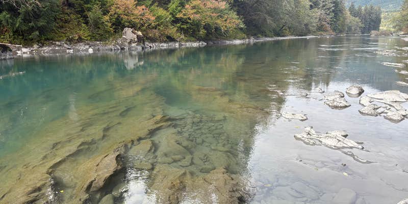 Camper submitted image from Hoh river hideaway