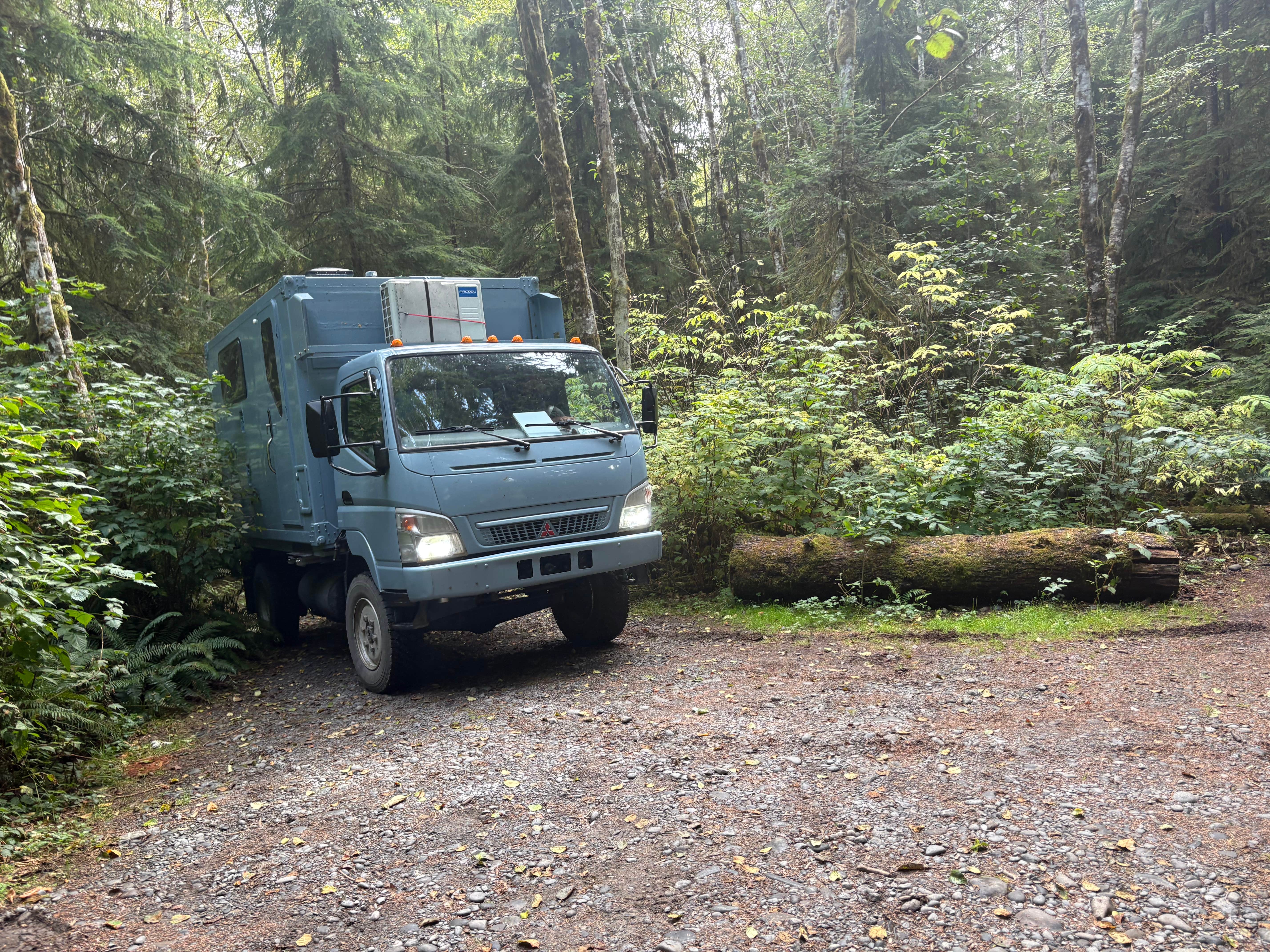 Camper-submitted photo at Hoh river hideaway near Olympic National Park