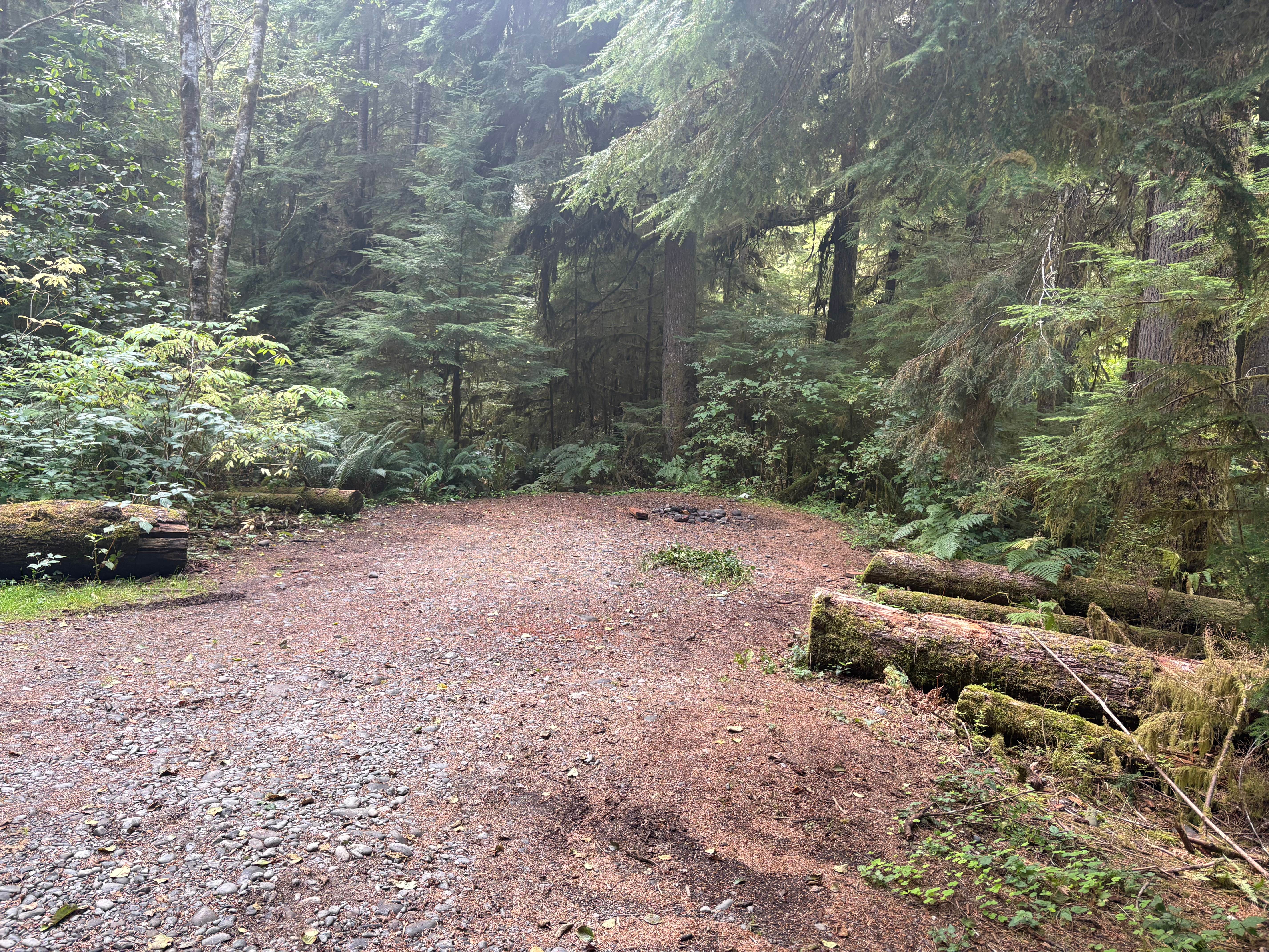Camper-submitted photo at Hoh river hideaway near Olympic National Park