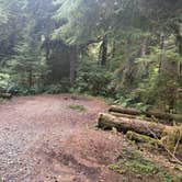 Review photo of Hoh river hideaway by Sarah S., September 29, 2025