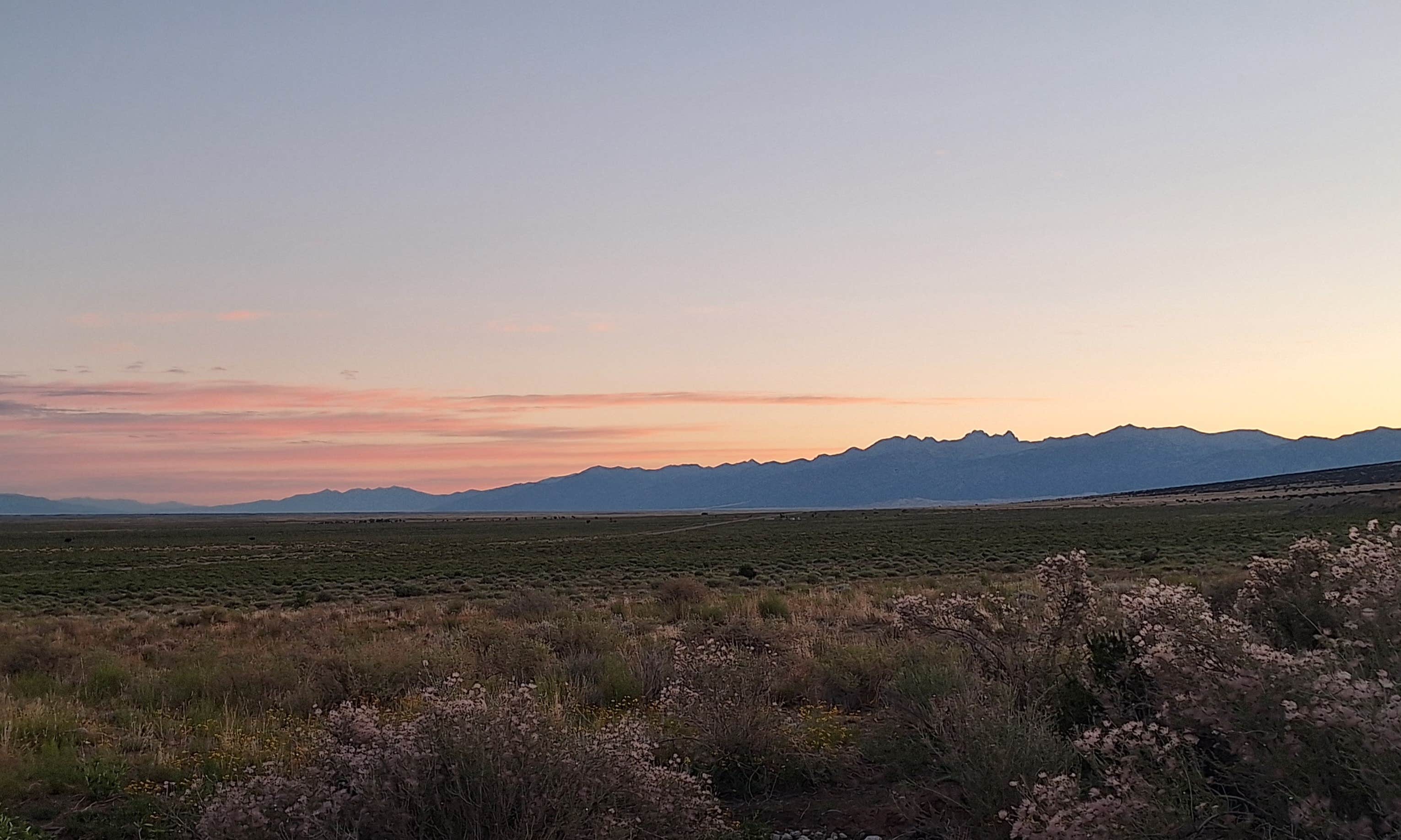 Camping near Great Sand Dunes Dispersed: Holbrook Road, Blanca, Colorado