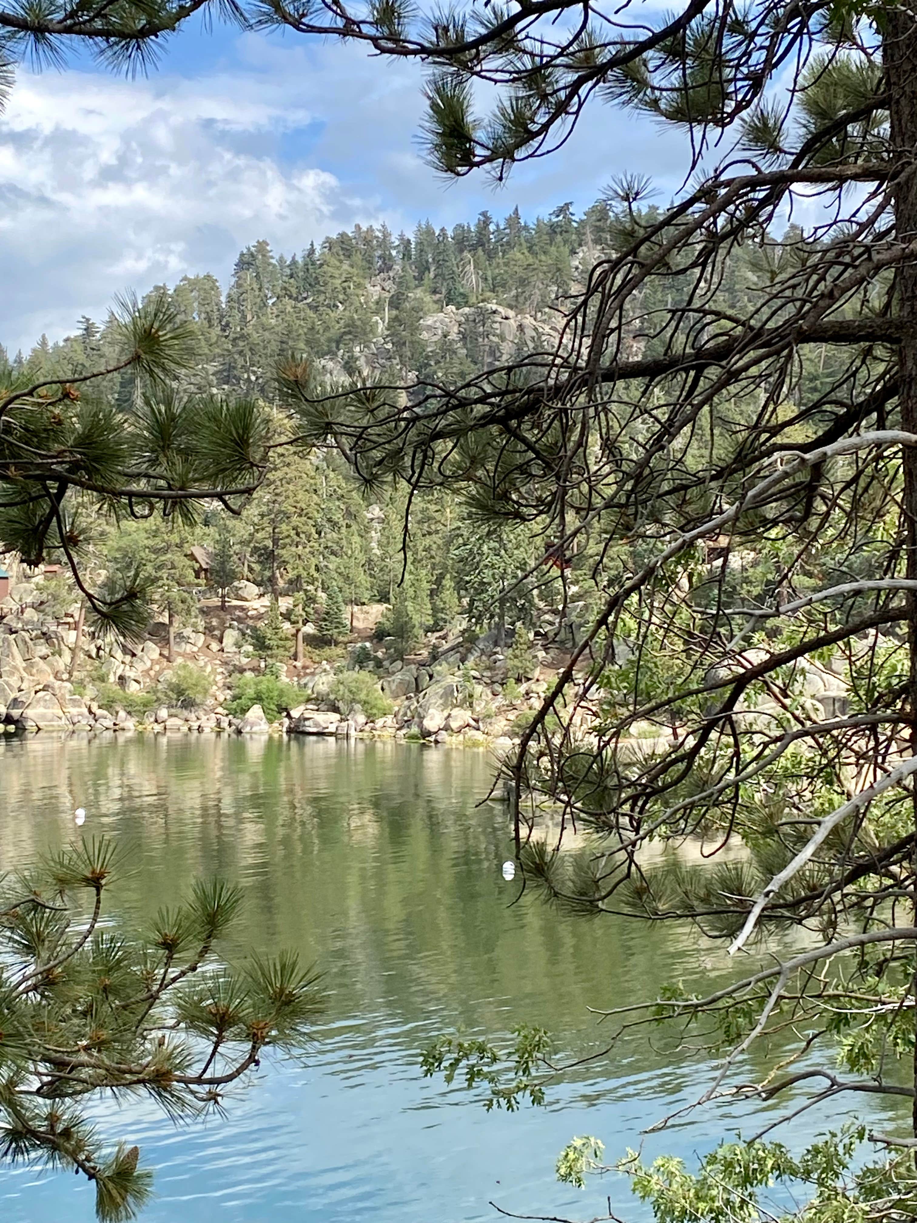 edward W.'s photo of a dispersed camping area at Holcomb Valley Climbers Camp near Blue Jay, CA