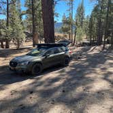 Review photo of Holcomb Valley Climbers Camp by Mister Linh , October 22, 2023