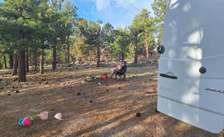 Allie N.'s photo at Holcomb Valley Climbers Camp near Fawnskin, CA