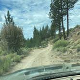 Review photo of Holcomb Valley Climbers Camp by edward W., November 8, 2023