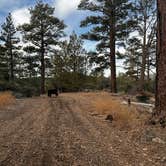 Review photo of Holcomb Valley Climbers Camp by Seychelle R., January 1, 2024