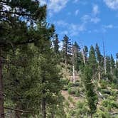 Review photo of Holcomb Valley Climbers Camp by edward W., November 8, 2023