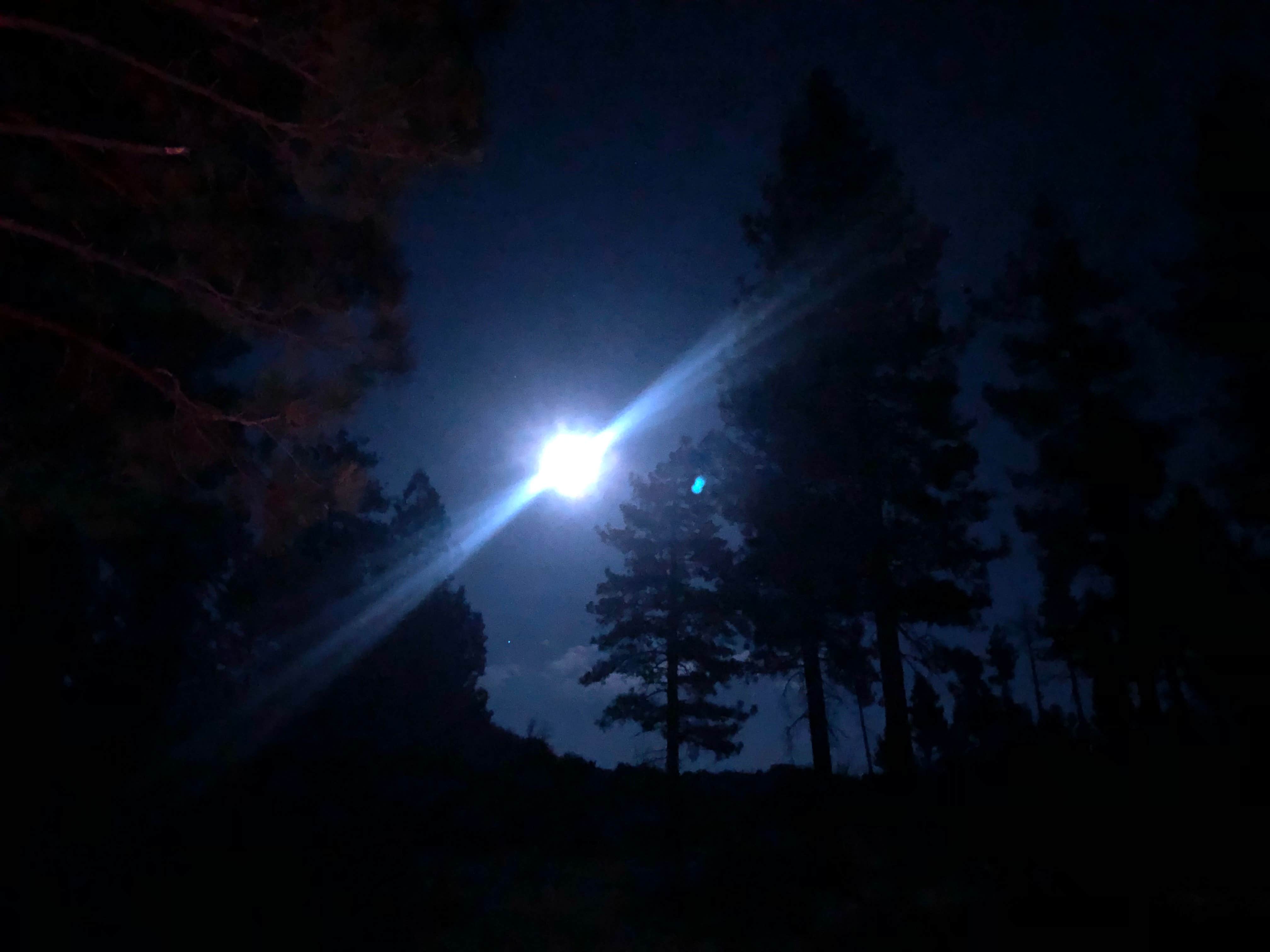 Camper-submitted photo at Holcomb Valley Climbers Camp near Running Springs, CA