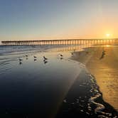 Review photo of Holden Beach RV Campground by Lisa K., April 3, 2026