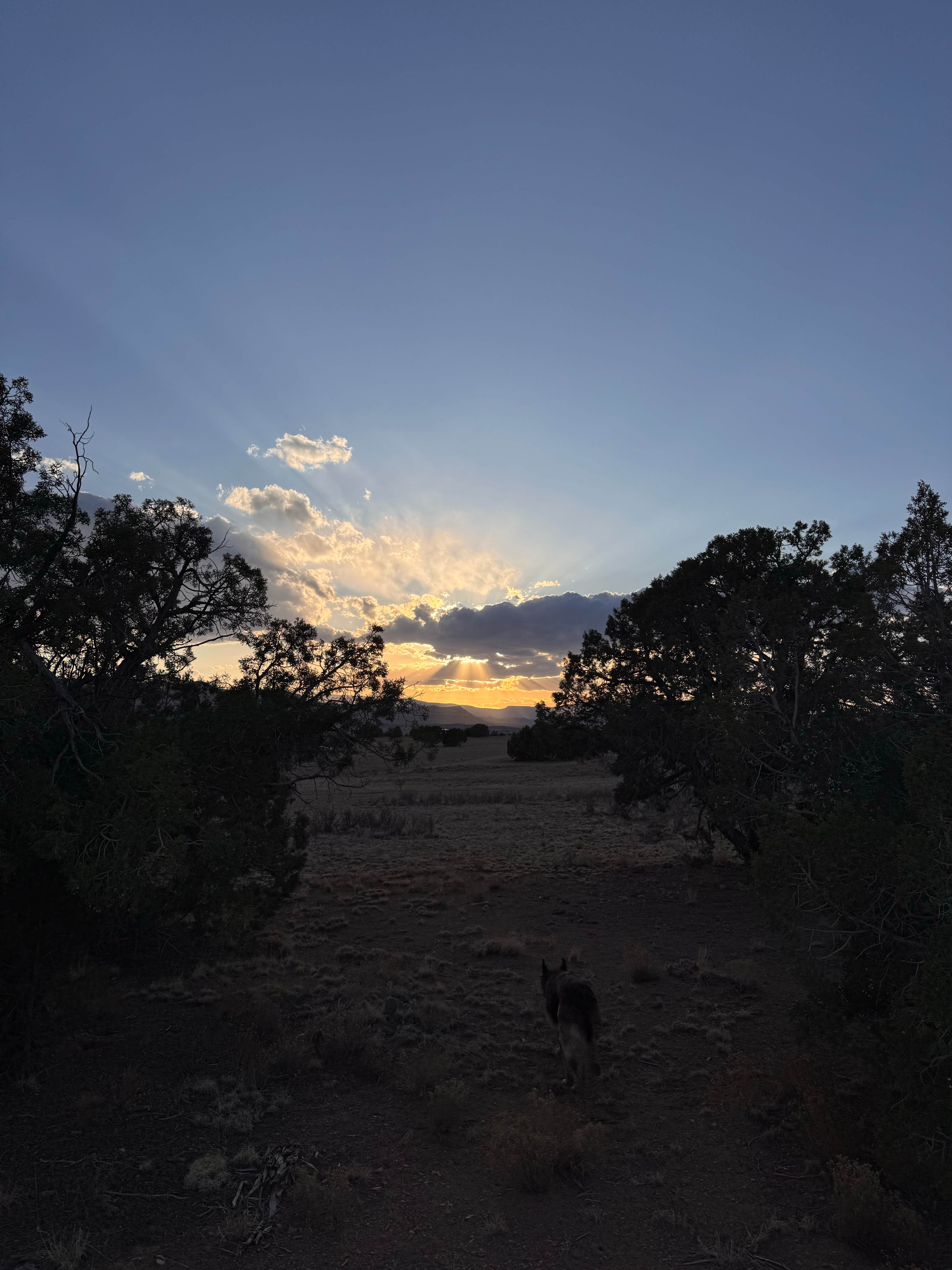 Bethany W.'s photo of a dispersed camping area at Hole in the Rock Road Dispersed at Utah 24 near Escalante, UT