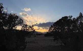 Bethany W.'s photo of camping with pets at Hole in the Rock Road Dispersed at Utah 24 near Eggnog, UT