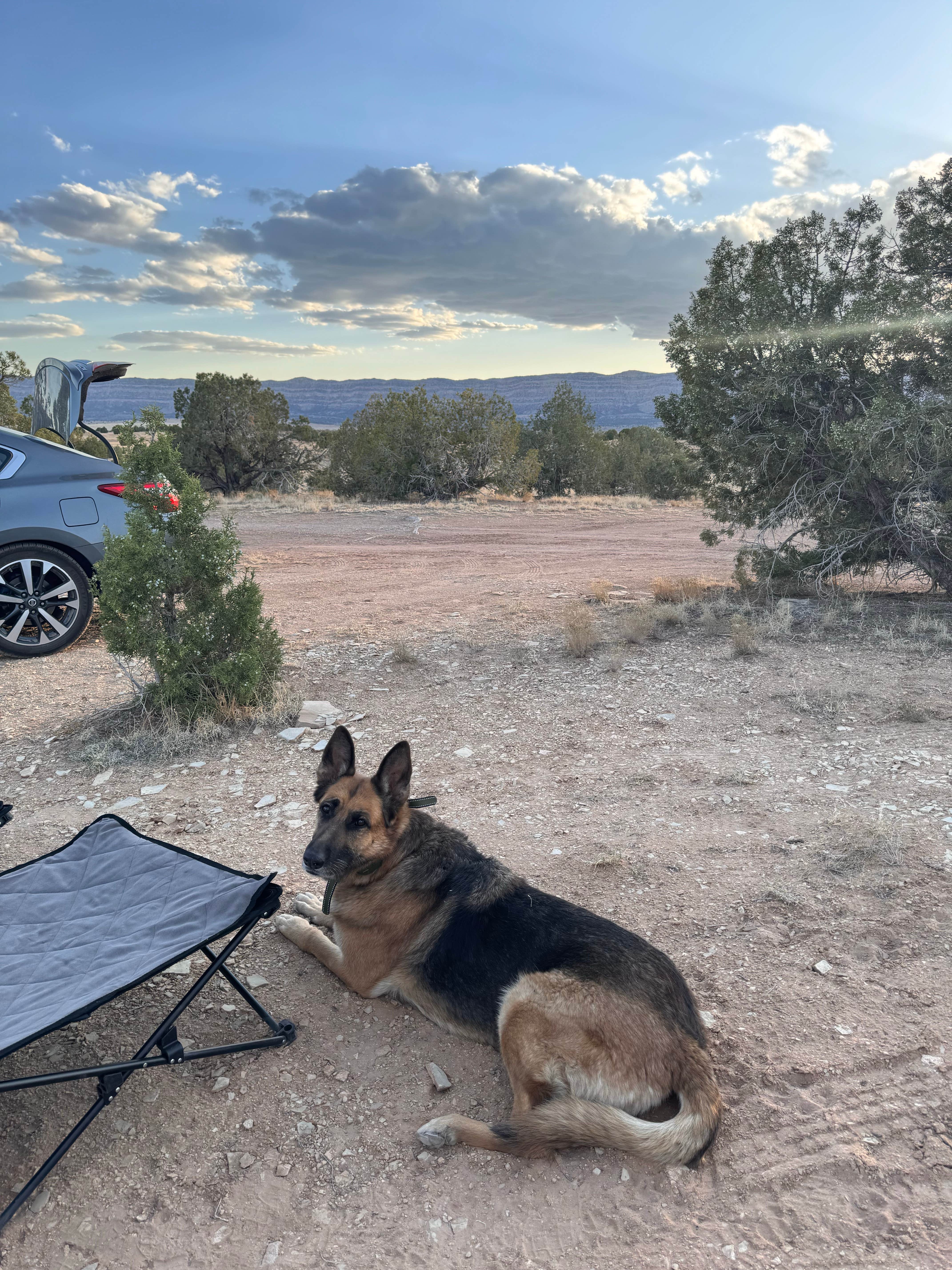 Camper submitted image from Hole in the Rock Road Dispersed at Utah 24 - 5