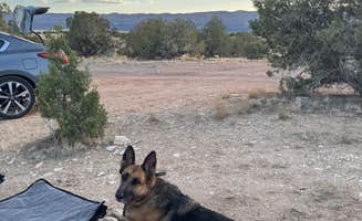 Bethany W.'s photo of camping with pets at Hole in the Rock Road Dispersed at Utah 24 near Glen Canyon National Recreation Area