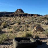 Review photo of Hole In The Wall Campground — Mojave National Preserve by Ernesto L., November 26, 2025