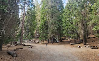 Ryan B.'s photo of camping with pets at Holey Meadow Campground near Posey, CA