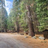 Review photo of Holey Meadow Campground by Ryan B., October 8, 2024