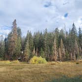 Review photo of Holey Meadow Campground by Ryan B., October 8, 2024