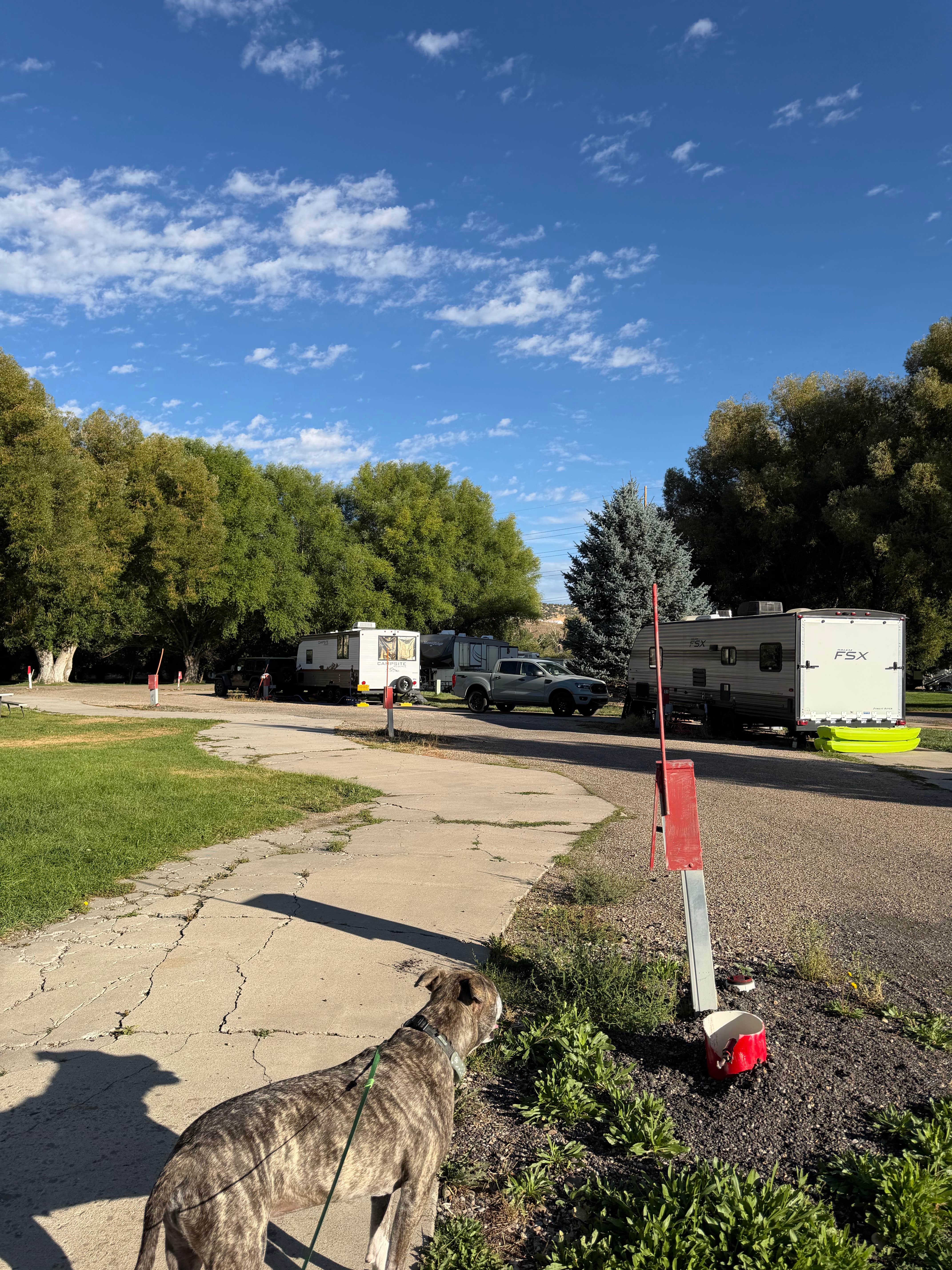 Mystle W.'s photo of camping with pets at Holiday Hills RV Park near Fruit Heights, UT
