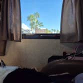 Review photo of Holiday Palms RV Resort by Terrie L., October 19, 2025