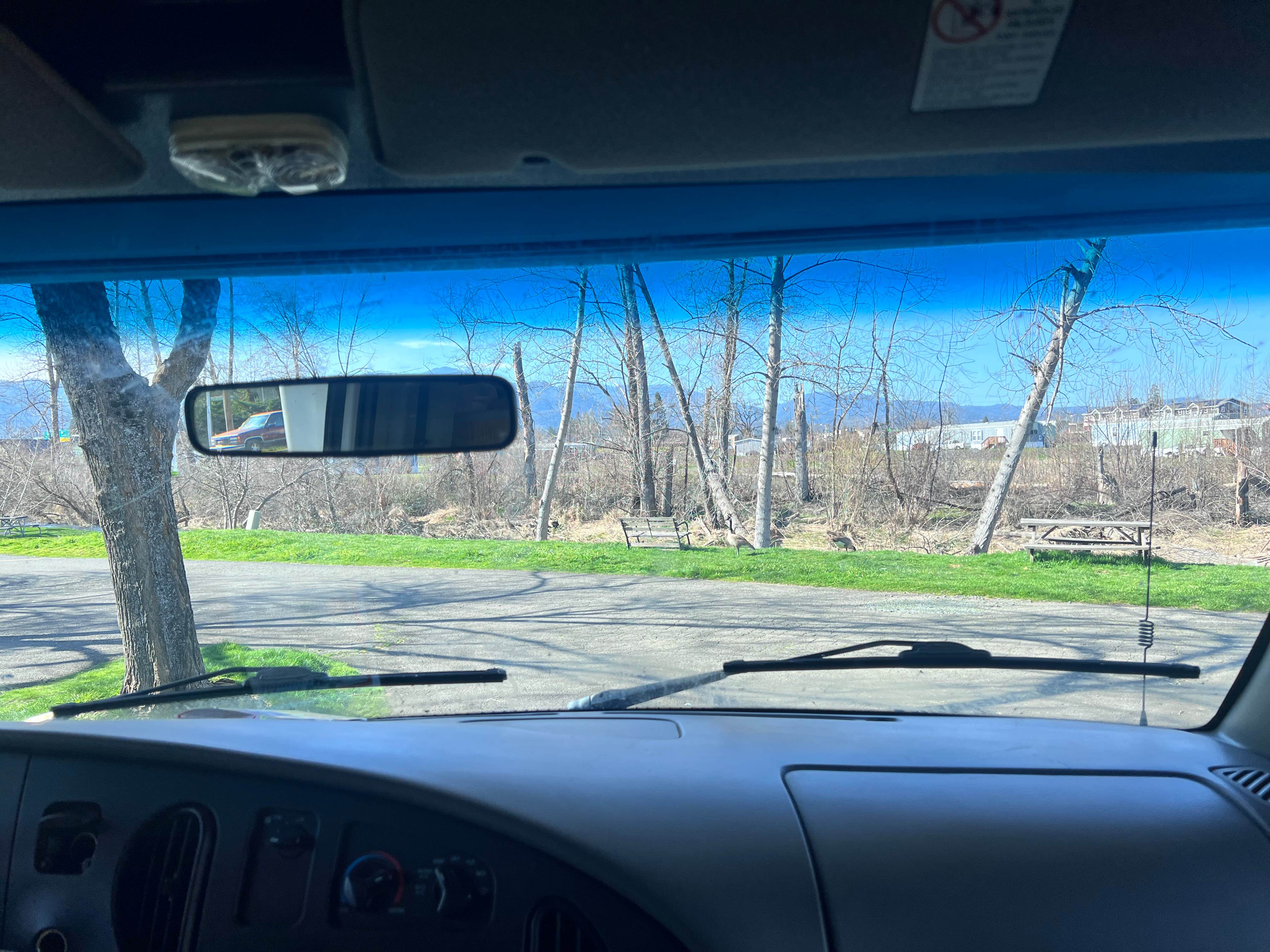 Camper-submitted photo at Holiday RV Park near Trail, OR