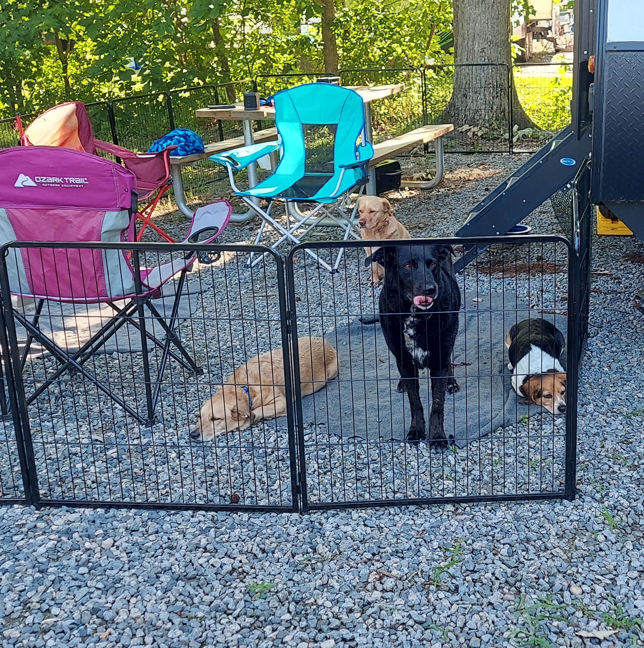 Clinton R.'s photo of camping with pets at Holiday Trav-L-Park near Portsmouth, VA