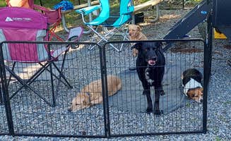Clinton R.'s photo of camping with pets at Holiday Trav-L-Park near Cheriton, VA