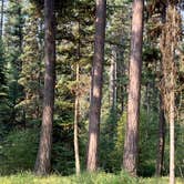 Review photo of Holland Lake Campground by Edgars E., August 9, 2026