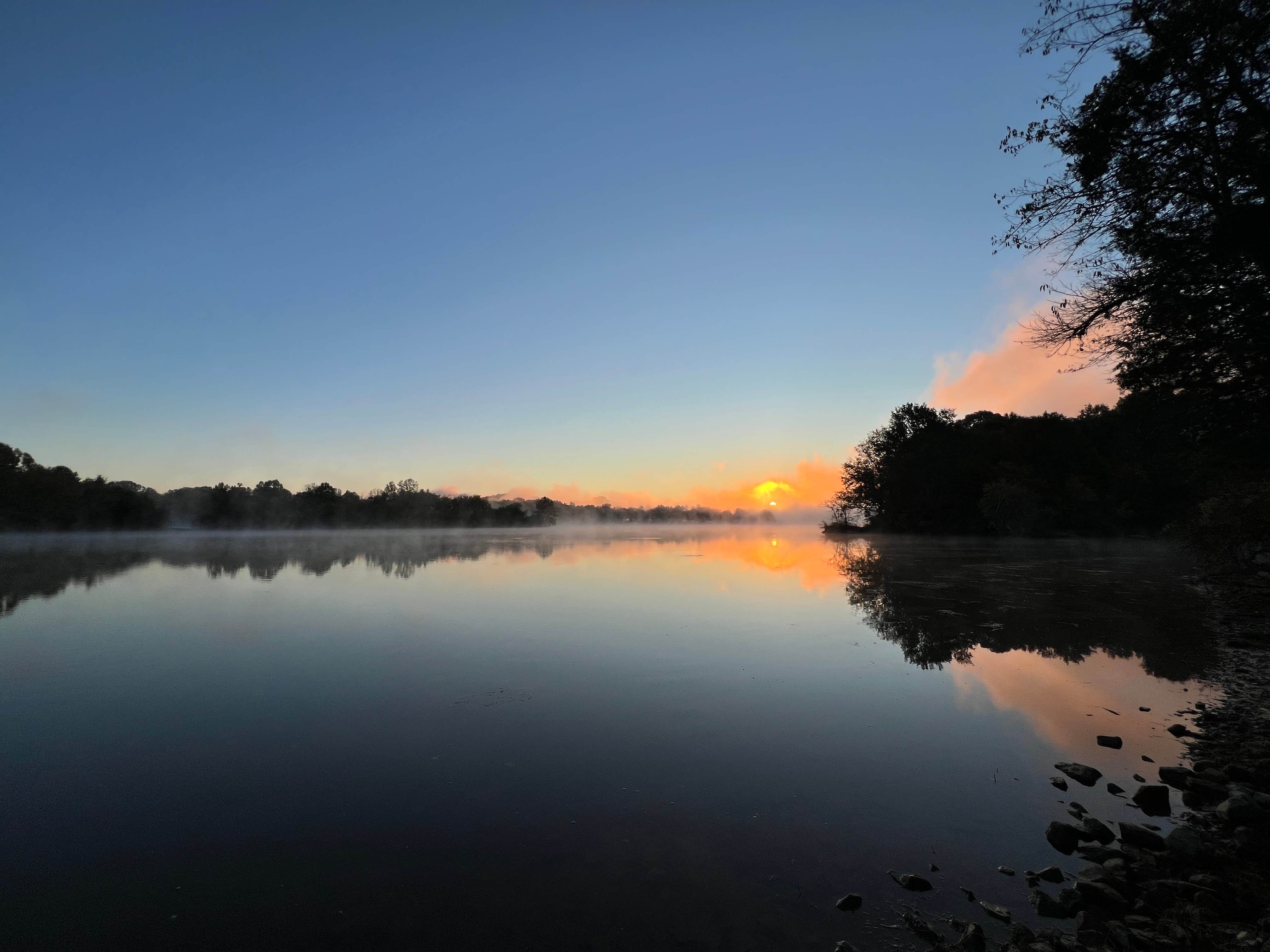 Camper submitted image from Holleman's Bend Camping Area - 1