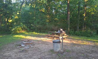 Camping near COE Cordell Hull Lake Salt Lick Creek Campground: Holleman's Bend Camping Area, Granville, Tennessee