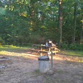 Review photo of Holleman's Bend Camping Area by Simon B., June 11, 2024