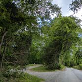 Review photo of Holleman's Bend Camping Area by Bastian P., May 19, 2026