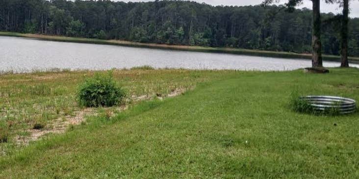Camper submitted image from Holliday Park Campground