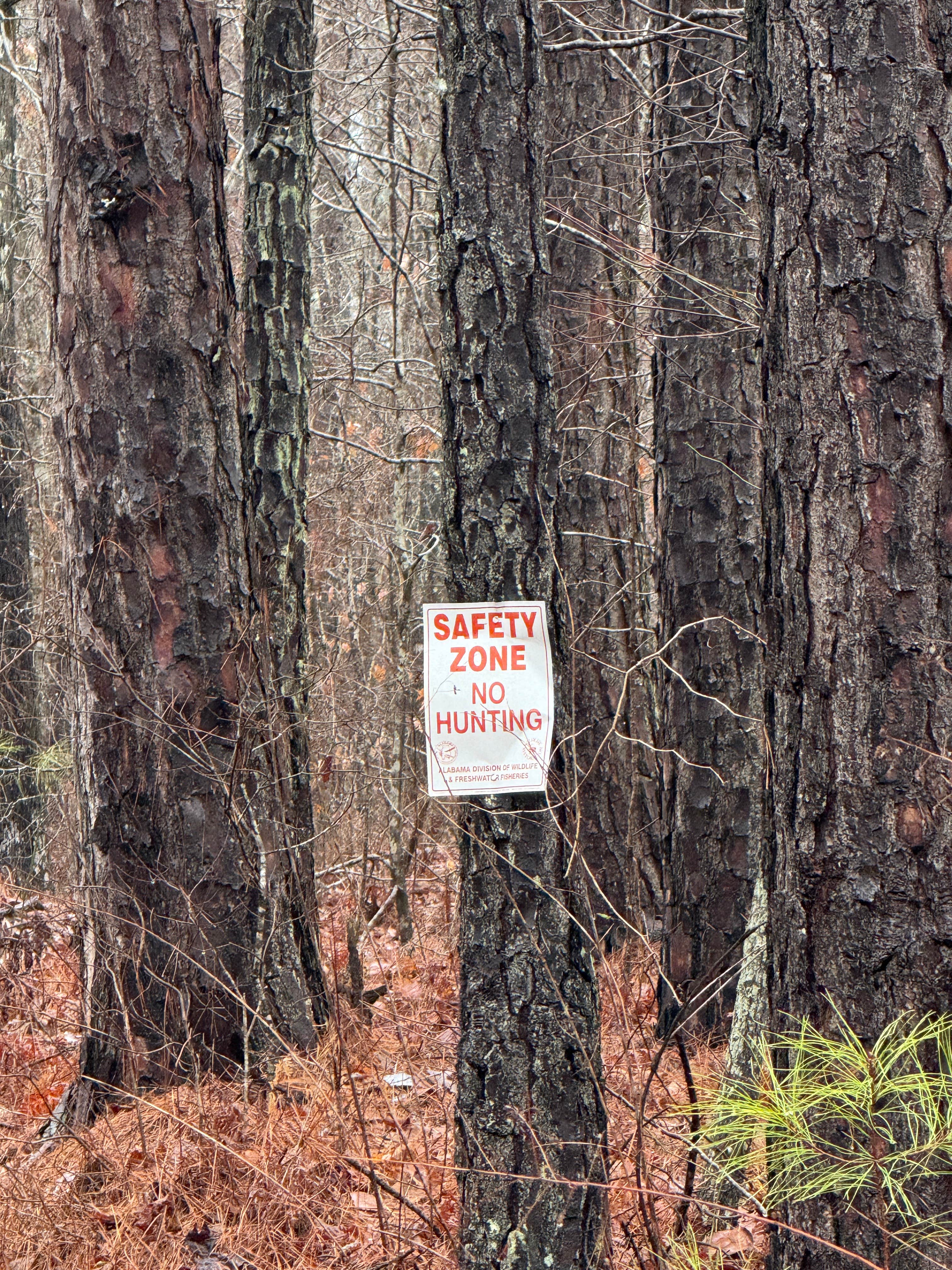 Camper-submitted photo at Hollins Hunting Camp near Sylacauga, AL