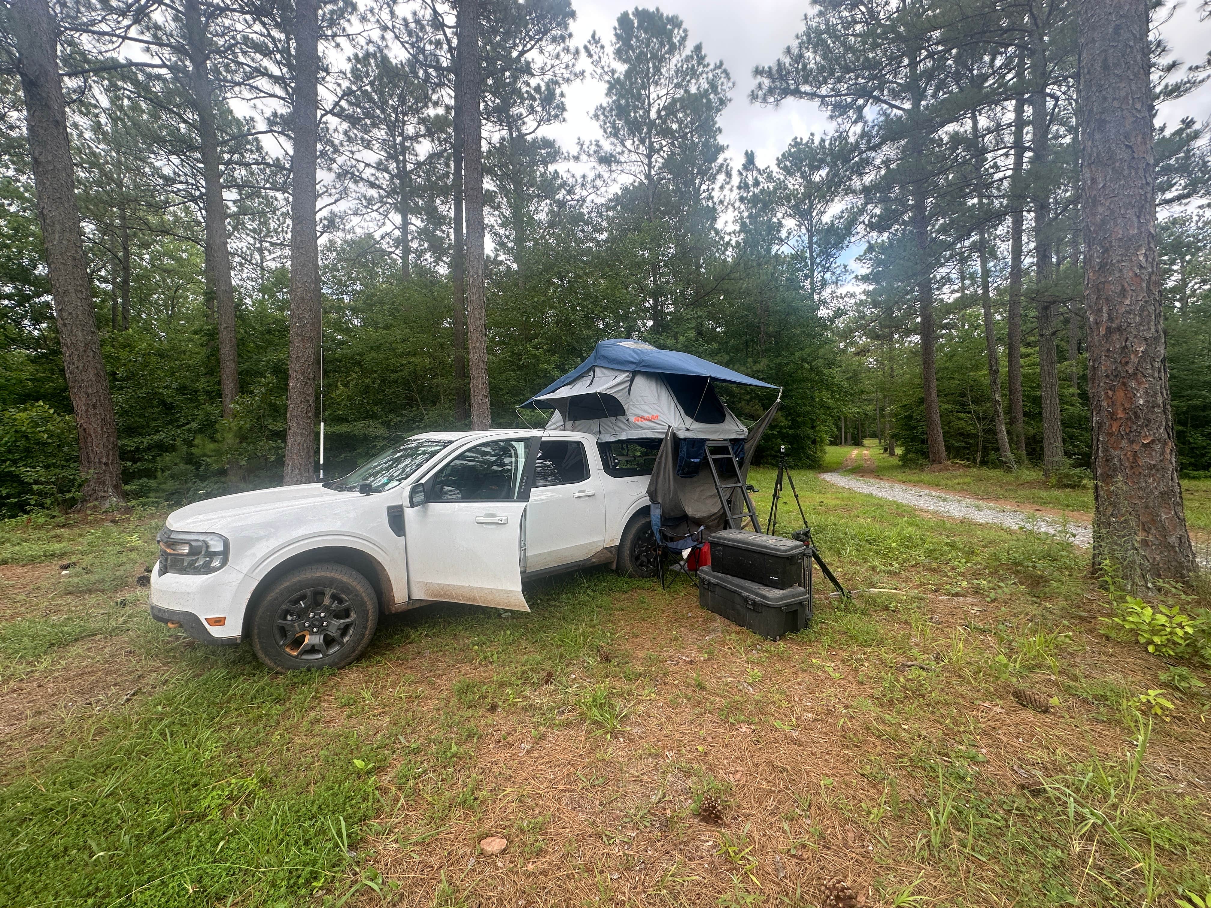 Camper-submitted photo at Hollins Hunting Camp near Columbiana, AL