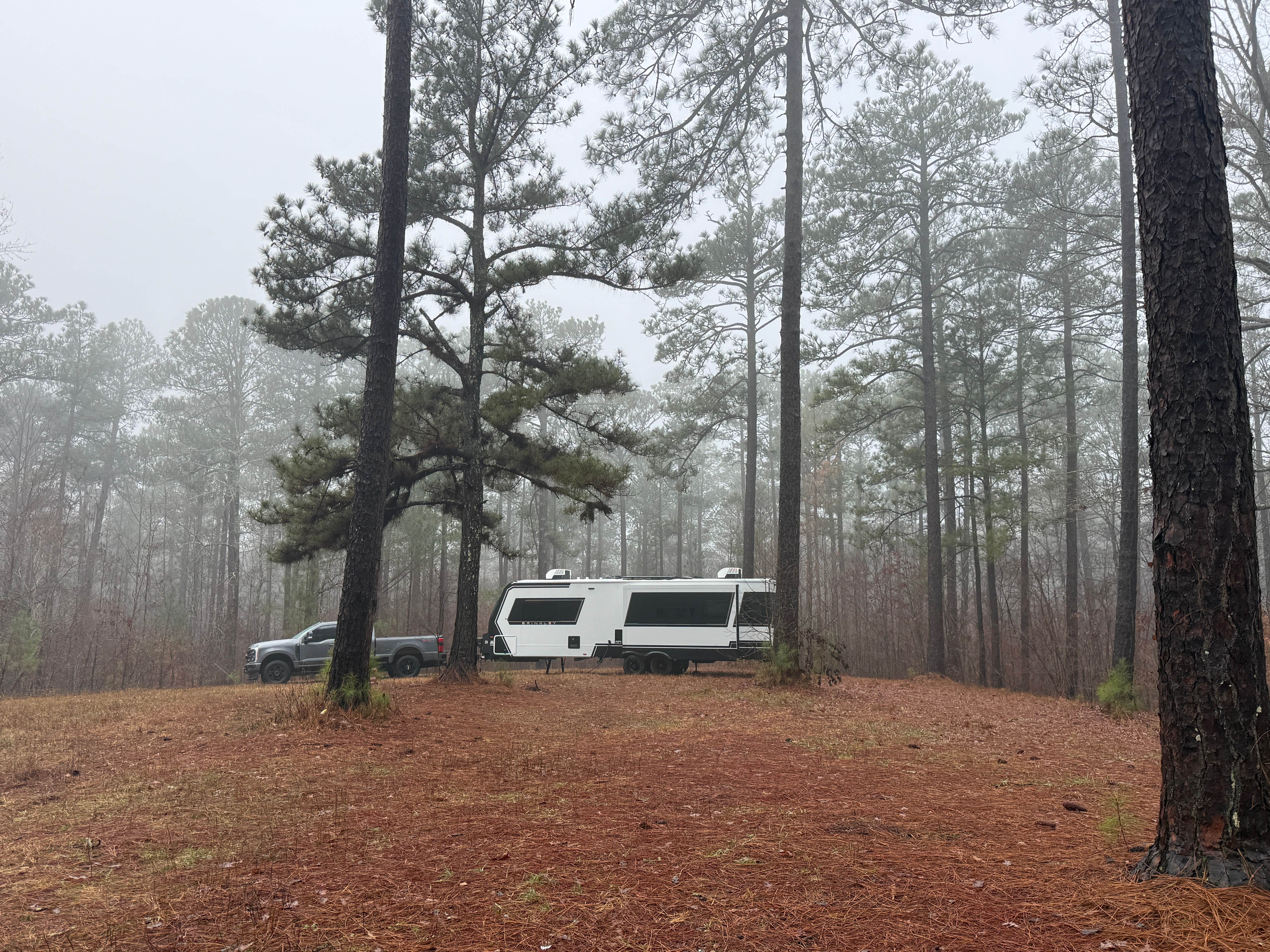 Camper-submitted photo at Hollins Hunting Camp near Sylacauga, AL