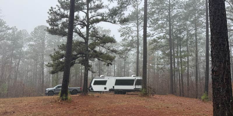 Camper submitted image from Hollins Hunting Camp