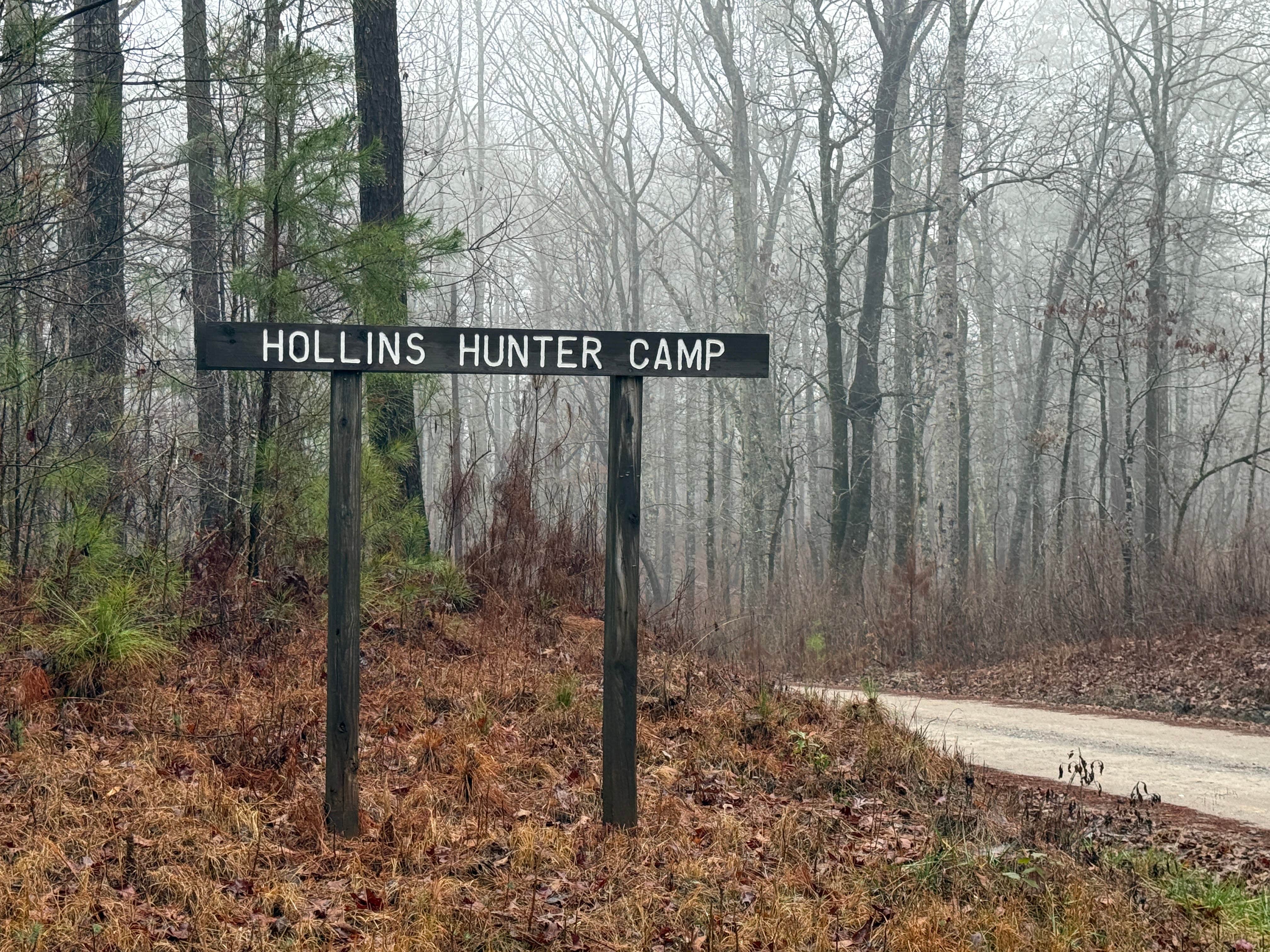 Camper submitted image from Hollins Hunting Camp - 4