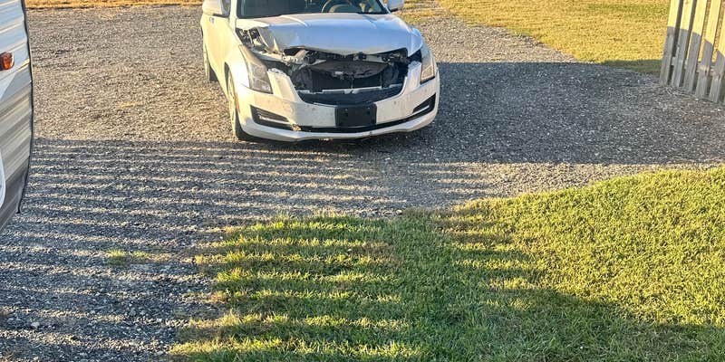 Camper submitted image from Hollis Smith RV Park