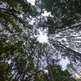 Review photo of Holly Point — Falls Lake State Recreation Area by Gregg P., July 19, 2025