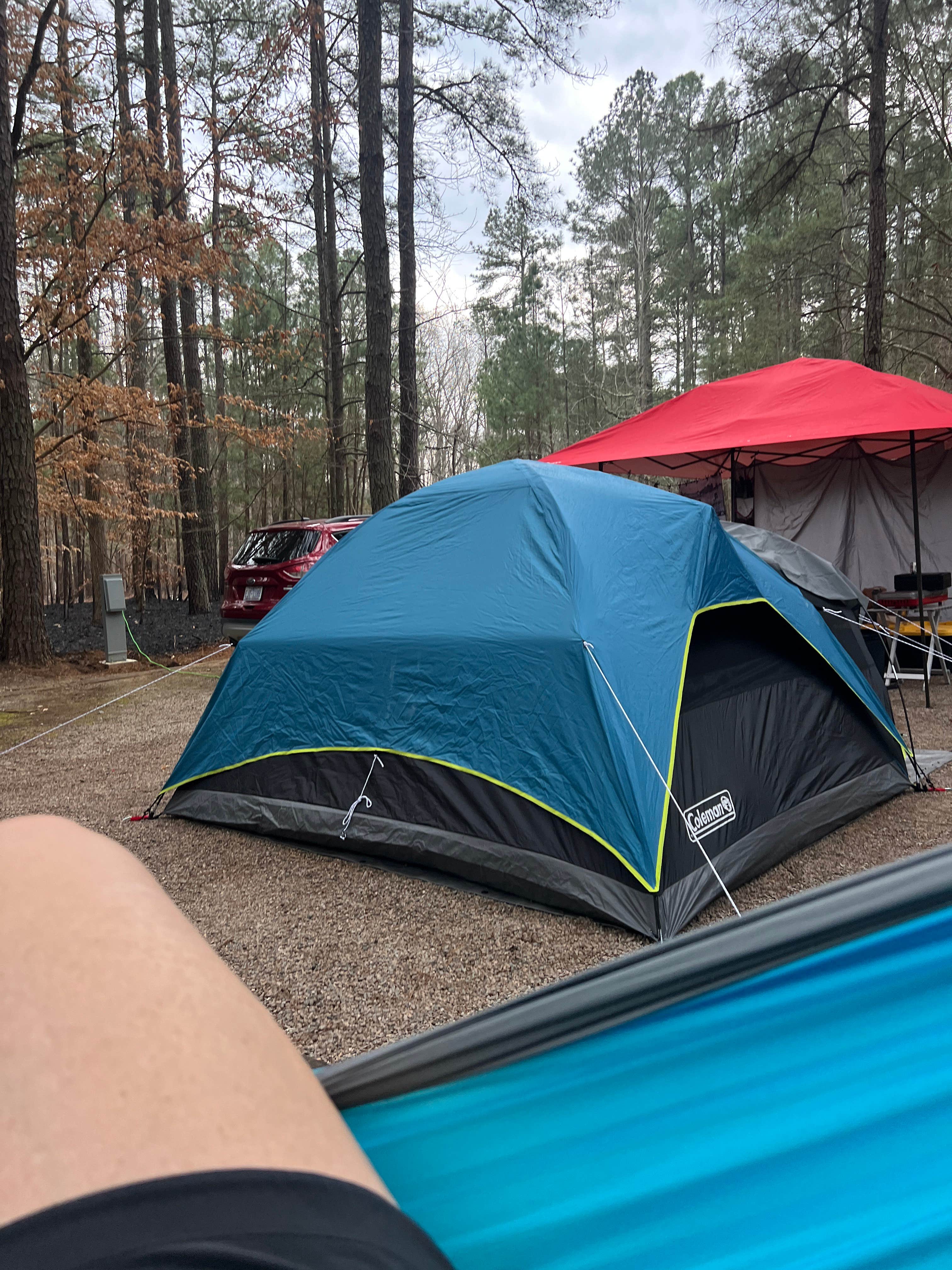 Melinda J.'s photo at Holly Point — Falls Lake State Recreation Area near Creedmoor, NC