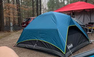 Melinda J.'s photo at Holly Point — Falls Lake State Recreation Area near Wake Forest, NC