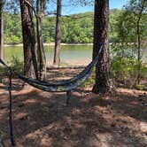 Review photo of Holly Point — Falls Lake State Recreation Area by Addie J., May 24, 2026