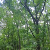 Review photo of Holly Point — Falls Lake State Recreation Area by Gregg P., July 19, 2025