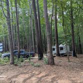 Review photo of Holly Point — Falls Lake State Recreation Area by Gregg P., July 19, 2025