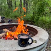 Review photo of McGinnis Lake Modern Campground — Holly Recreation Area by Ashley F., May 18, 2025