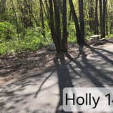 Review photo of McGinnis Lake Modern Campground — Holly Recreation Area by D P., May 13, 2024