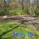 Review photo of McGinnis Lake Modern Campground — Holly Recreation Area by D P., May 13, 2024