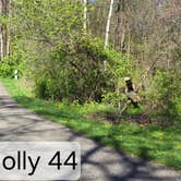 Review photo of McGinnis Lake Modern Campground — Holly Recreation Area by D P., May 13, 2024